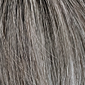Metalgrey