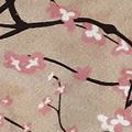 Cherry Blossom