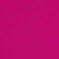 Sunny Pink