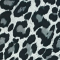 Silver Leopard