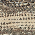 Beige/Braun
