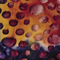 Ladybug Red