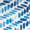 Cornflower