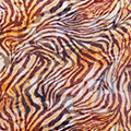 Tigerorange
